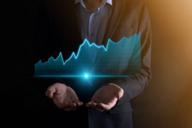 İş geliştirme, finansal plan ve strateji. Maliye grafiği ve piyasa çizelgesi yatırımlarının analizi. Dijital ekonomi değişimi. Geliştirme ve büyüyen büyüme planı. Piyasa yatırımları. Bankacılık