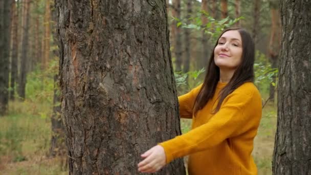 Caminhante mulher feliz abraça tronco de pinho velho na floresta — Vídeo de Stock