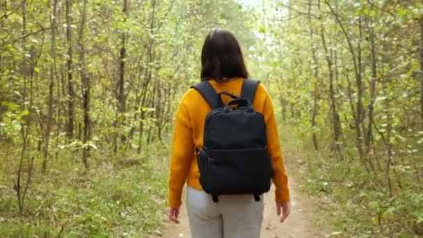 Woman with backpack in orange sweater walks across forest — Stock Video