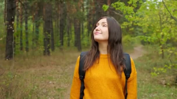 행복 한 여행사가 푸른 숲을 지나는 길을 걷다 — 비디오