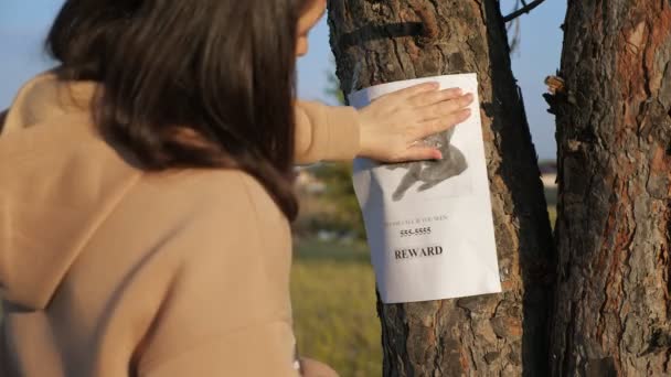 Lady hangt poster van vermiste kat en beroertes foto op boom — Stockvideo