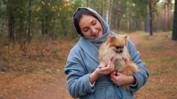 Junge Frau hält Pommerschen Mini-Spitz beim Spaziergang im Herbstpark in den Armen — Stockvideo