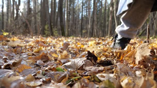 Mujer con botas pasea lentamente por el bosque entre árboles desnudos — Vídeo de stock