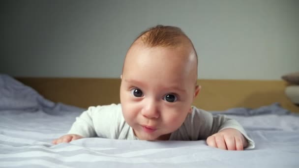 아기가 누워 카메라를 들여다보며 담요 위를 기어가려고 한다 — 비디오