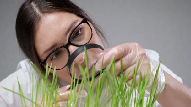Специалист смотрит на зеленую лабораторную траву через лупу — стоковое видео