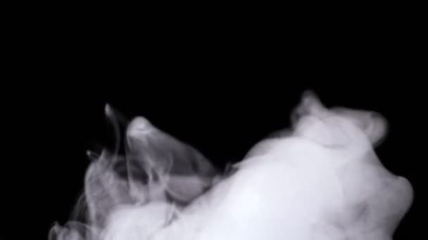 Z zvlhčovače stoupá do vzduchu hustý oblak páry — Stock video
