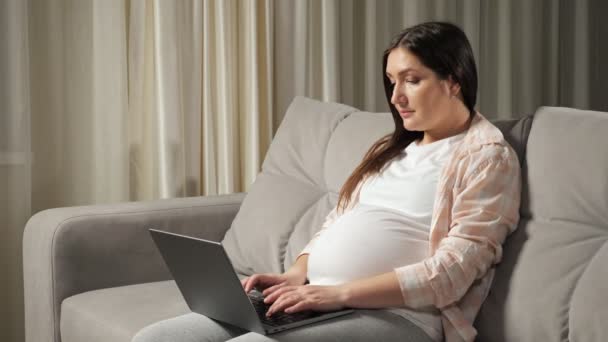 Gravid kvinna frilansare arbetar via laptop hemifrån på soffan — Stockvideo