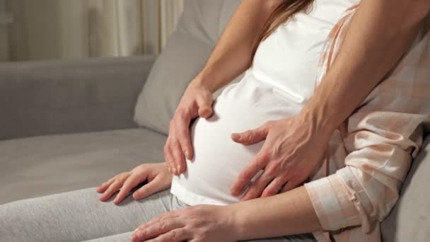 Young man caresses pregnant belly of wife sitting on sofa — Αρχείο Βίντεο