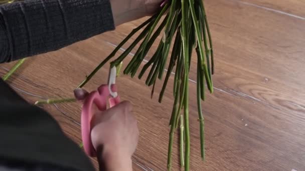 Florist trims stems of roses with pink scissors in workshop — Stockvideo