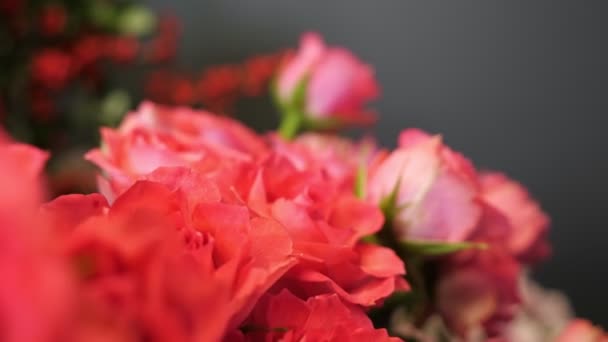 Bunches of fresh red roses in vases at floristry workshop — Stock Video