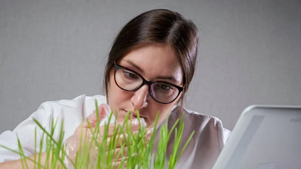 Laboratory worker controls growth of grass using tablet PC — Stockfoto