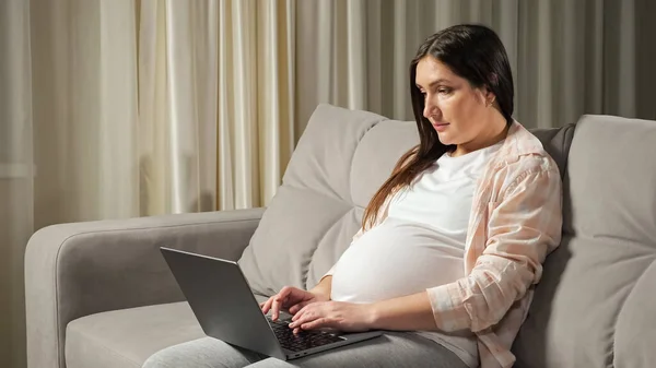 임신 한 여성 프리랜서는 집에서 집에서 소파에 있는 랩탑을 통해 일한다 — 스톡 사진