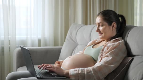 Schwangere Freiberuflerin arbeitet zu Hause mit Laptop auf Sofa — Stockvideo