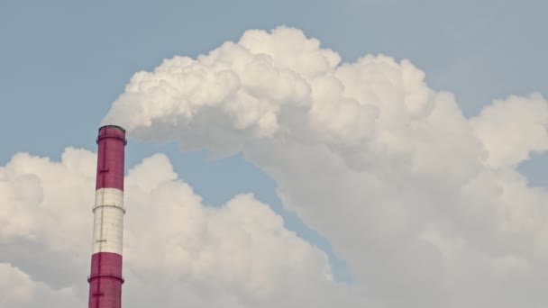 Nahaufnahme weißer Rauch aus den Schornsteinen eines Wärmekraftwerks gegen den Himmel — Stockvideo