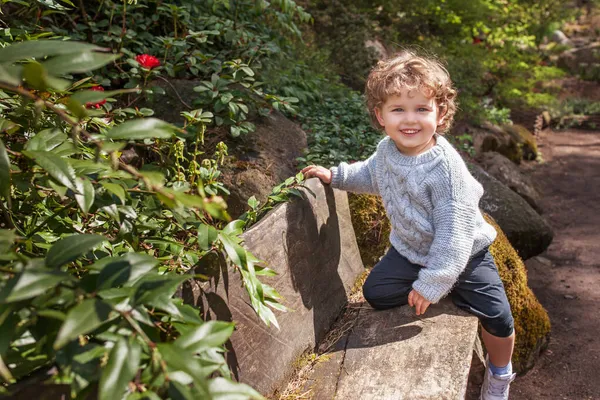 Милый Маленький Мальчик Гуляющий Парке Ребёнок Изучает Окружающую Среду Счастливого — стоковое фото