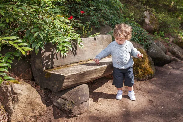 Netter Kleiner Junge Der Park Spazieren Geht Kind Studiert Die — Stockfoto