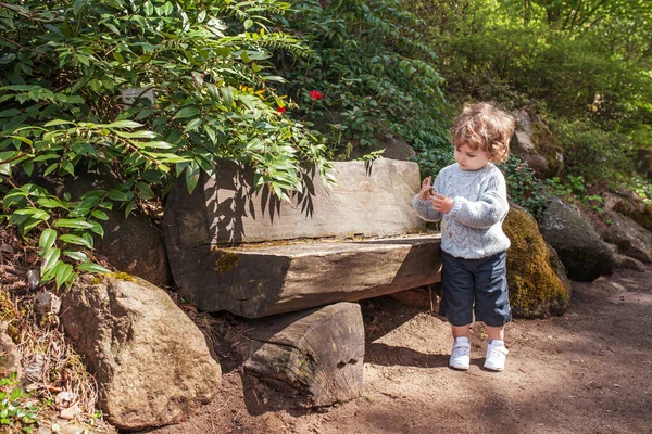 Netter Kleiner Junge Der Park Spazieren Geht Kind Studiert Die — Stockfoto