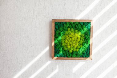 İç kısımda çok renkli İzlanda yosunları sabitlendi. Duvardaki yeşil yosun paneli. Yosun kaplı duvar süsü. Ahşap çerçeveli yeşil yosun dokusu. Boşluğu kopyala