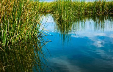 Sabah göl manzarası çok güzel.