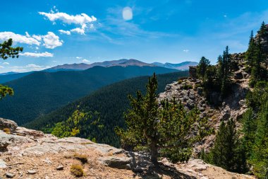 Güzel sonbahar ormanlarının manzaralı görüntüleri.