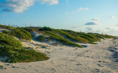 Sandy Dunes build on Padre Island , Texas , a Beach Destination Vacation on the Barrier Island with Sea Oats and Pathway to the Gulf of Mexico