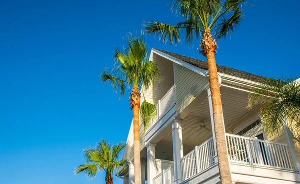 Beautiful Wooden House Palm Trees — Stock Photo, Image