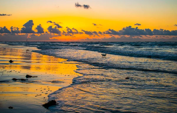 Shot Beautiful Seashore Sunset — 图库照片