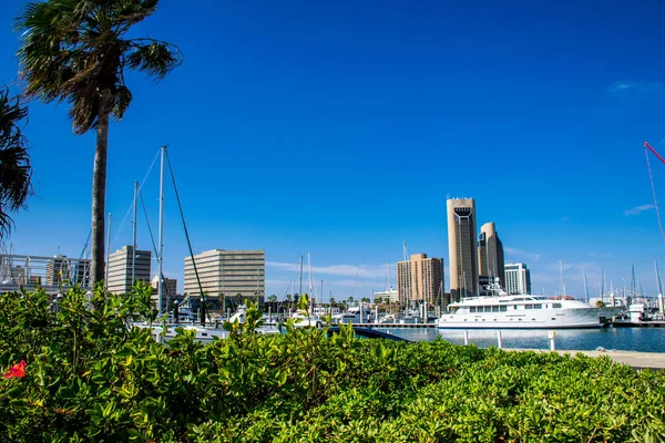 Corpus Christi , Texas Skyline Cityscape