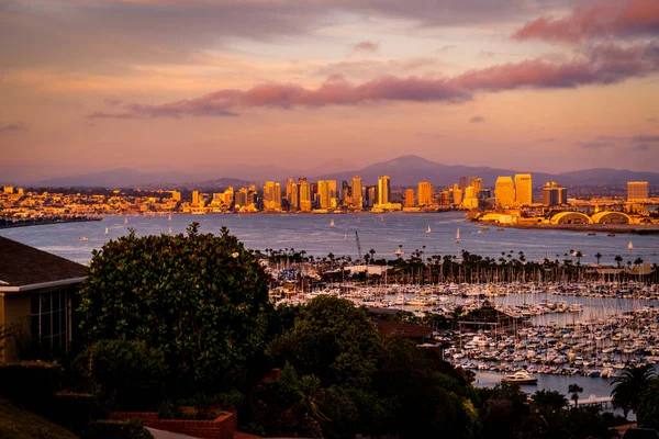 Σαν Ντιέγκο Καλιφόρνια Cityscape Ορίζοντα — Φωτογραφία Αρχείου