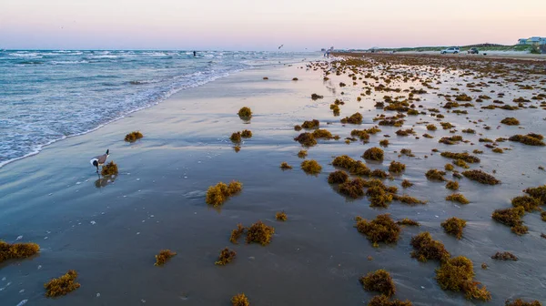 Shot Beautiful Seashore Sunset — Foto Stock