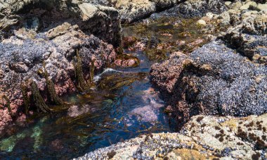Kayaların güzel manzarası. Doğa