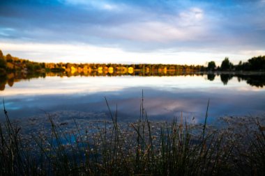 Göl kıyıları boyunca Parlak Renkli Sonbahar Yaprağı 