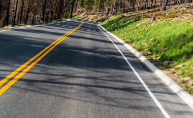  Ağaçlar ve yol ile manzara