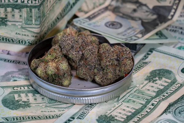 Marijuana Cannabis Flowers on top of Cash Money piled up after making money in the Weed Cannabis Stock Market as the green stocks grow