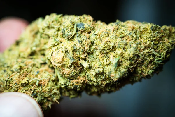 Crystally Flowers Marijuana Cannabis Stock Market Booms New Weed Customers — Stock Photo, Image