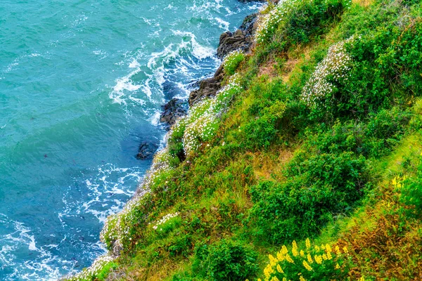 Vedere Frumoasă Coastei Mării — Fotografie, imagine de stoc