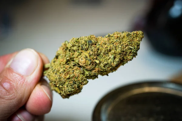 Crystally Flowers Marijuana Cannabis Stock Market Booms New Weed Customers — Stock Photo, Image