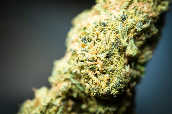 Krystalicky Květiny Marihuana Konopí Akciový Trh Boomy Novými Zákazníky Plevele — Stock fotografie