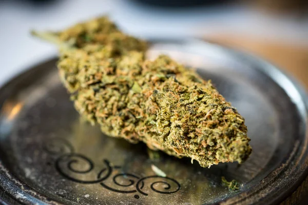 Kristálytiszta Virágok Marijuana Cannabis Tőzsde Virágzik Vásárlók Bővülő Kannabisz Üzletek — Stock Fotó