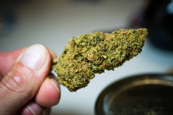 Flores Cristalinas Marijuana Cannabis Mercado Ações Cresce Com Novos Clientes — Fotografia de Stock