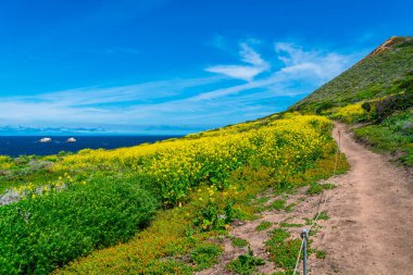  Sahil şeridi boyunca, manzara
