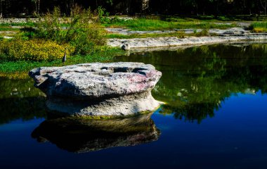 Nehir boyunca Parlak Renkli Sonbahar Yaprağı