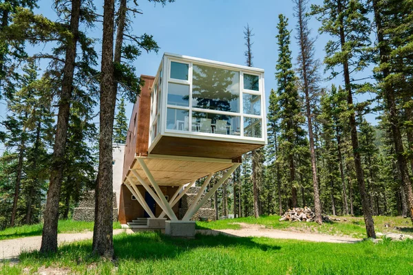 Ormandaki modern bina