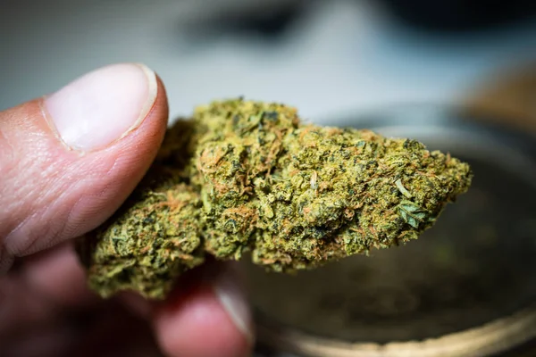 Kristal çiçekler Marihuana Kenevir Borsası yeni ot müşterileri ile patlama yaşıyor ve büyük Mükemmel Kenevir Çiçeği THC CBD sağlık hizmeti ile Amerika genelinde esrar dükkanları genişliyor