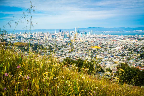 San Francisco California Cityscape Skyline Modern Downtown American City — Stock Photo, Image