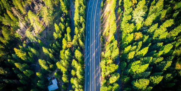  Ağaçlı ve yollu manzara, hava...