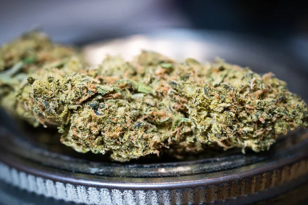 Kristálytiszta Virágok Marijuana Cannabis Tőzsde Virágzik Vásárlók Bővülő Kannabisz Üzletek — Stock Fotó