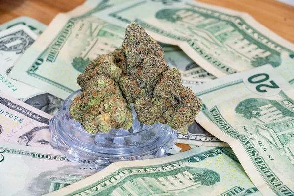 Marijuana Cannabis Flowers on top of Cash Money piled up after making money in the Weed Cannabis Stock Market as the green stocks grow