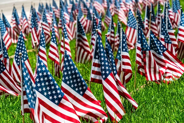 アメリカの退役軍人と軍の退役軍人の記念碑の芝生の芝生の小さなアメリカの旗のより少ない無限の行と退役軍人を祝う — ストック写真