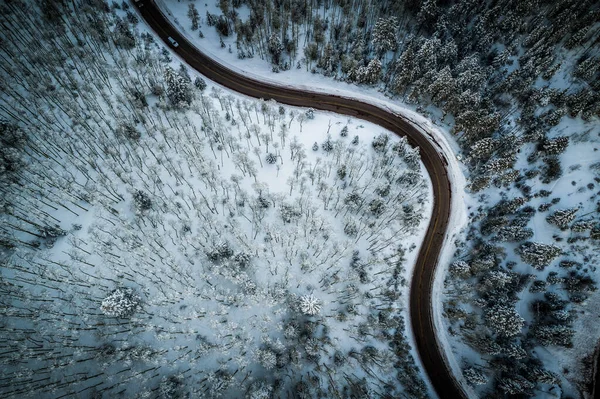 Polvere Neve Perfetta Neve Incontaminata Paesaggio Con Alberi Innevati Ricoperti — Foto Stock